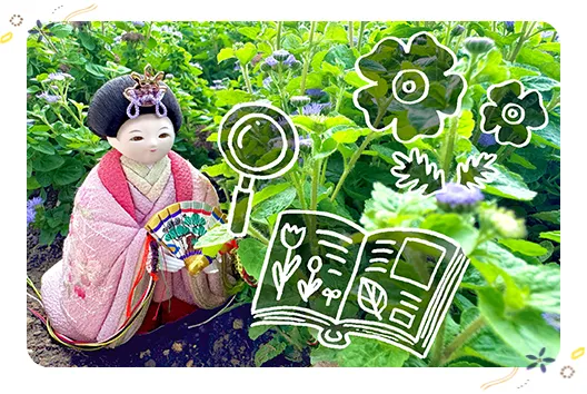 さらさら