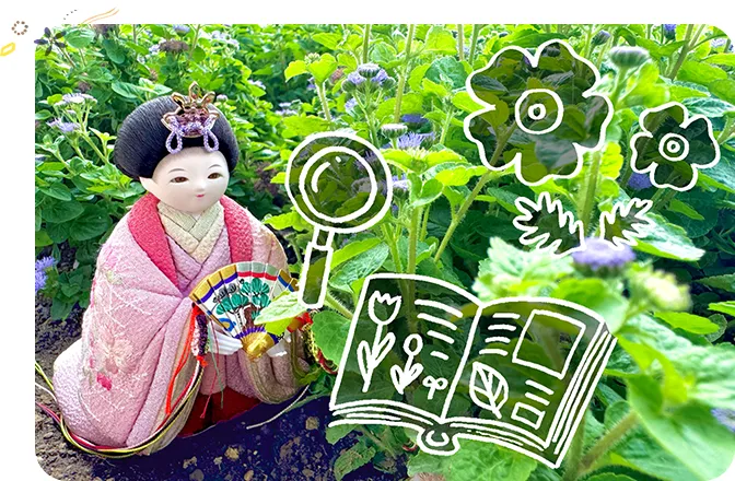 さらさら