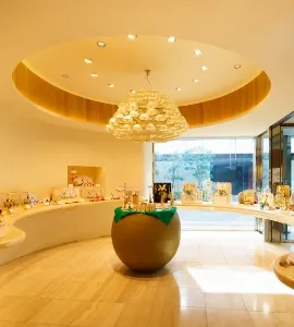 2025年11月2日〜ショールーム通常展示